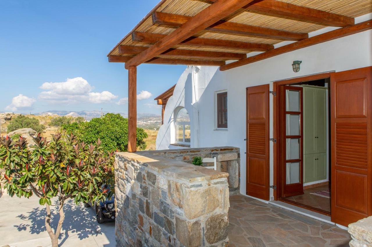 Thea Suites Naxos 아기오스프로코피오스 외부 사진